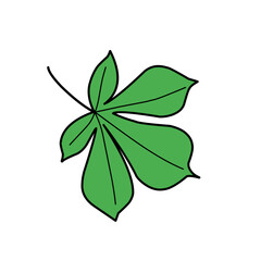 leaf vector green illustration