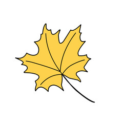 Obraz premium leaf vector green illustration