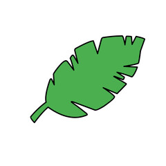 leaf vector green illustration