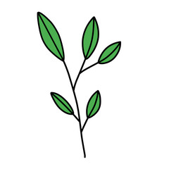 Fototapeta na wymiar leaf vector green illustrations