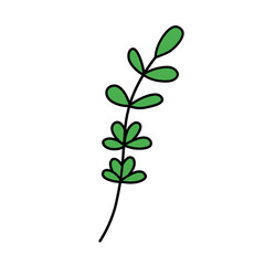 leaf vector green illustrations