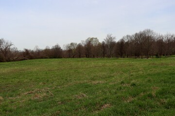 Fototapeta premium The grass country field on a cloudy spring day.
