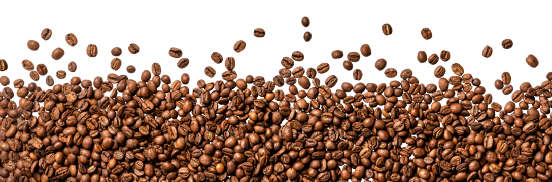 Coffee beans on transparent background. Top view of coffee beans. Copy space for text