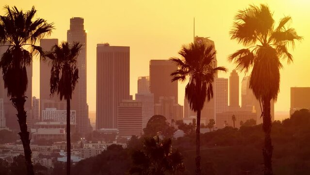 Aerial shot of downtown Los Angeles at sunset behind a row of palm trees.