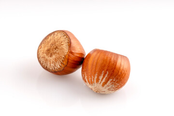 In shell Hazelnut. Studio shoot isolated on white background.