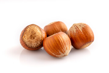 In shell Hazelnut. Studio shoot isolated on white background.