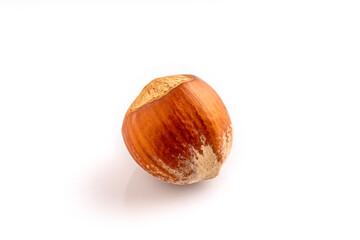 In shell Hazelnut. Studio shoot isolated on white background.