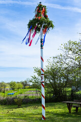 Maibaum, K&ouml;nigsmark (Altmark)