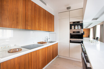 kitchen interior, wooden facades, induction cooker, sink, oven in the cabinet