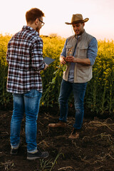 Caucasian farmers are standing in the field and inspecting a root from a plant