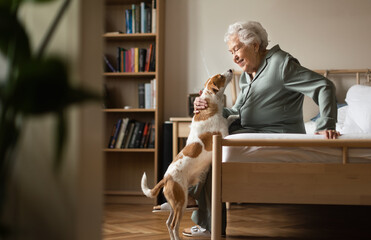 Senior woman enjoying time with her little dog. - obrazy, fototapety, plakaty