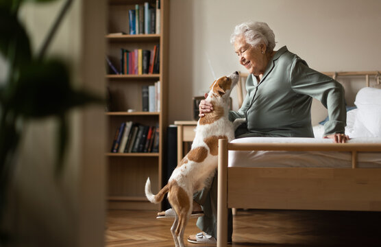 Senior woman enjoying time with her little dog.