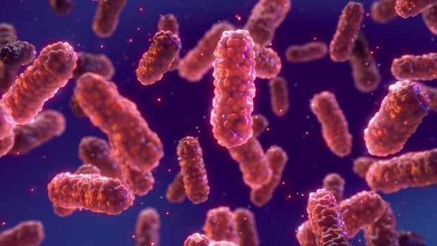 Antibiotic use is leading to decreased immunity and bacterial co-infection. Animation of red pathogenic bacteria on dark background.