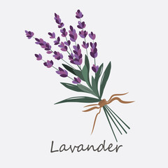 Bouquet of Lavander on a postcard for congratulations