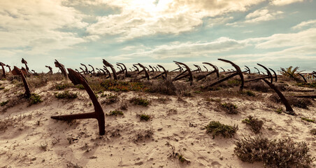 Cemetery of the old anchors of the former tuna fishing ships in the sand dunes on Barril beach...