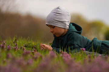 A little boy lies in a spring meadow among flowers and dreams.