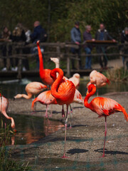 Lo zoo è un ottimo posto per vedere e sperimentare cose nuove.