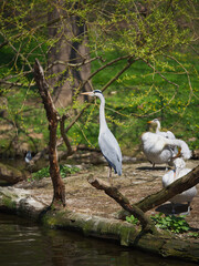 Lo zoo è un ottimo posto per vedere e sperimentare cose nuove.