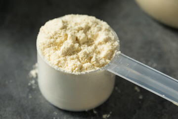 Organic Healthy Vanilla Whey Protein Powder