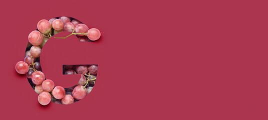 Letter G cut in viva magenta paper and ripe grapes. Banner for design