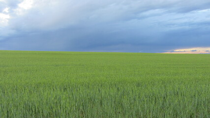 Paisaje 