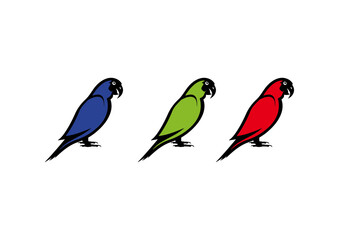 vector parrot bird animal drawing designs