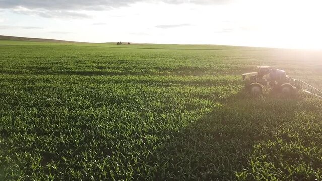 Pulverizador mosquito