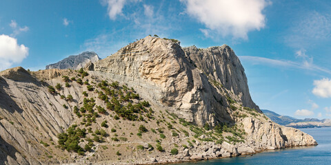 Summer rocky coastline with pine trees  (Novyj Svit reserve, Crimea, Ukraine).