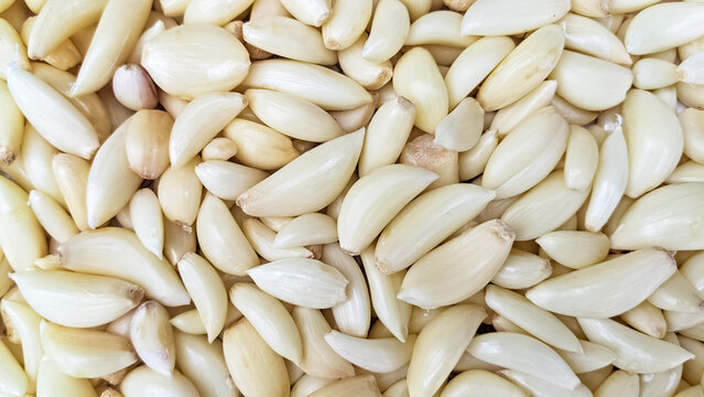 Pile of Ramson, broad leaved garlic bulbous root, used as a relish