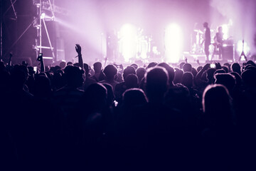 Obraz na płótnie Canvas crowd at live concert music festival
