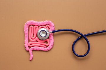 Digestive colon system health concept. Intestines shape made of plasticine with stethoscope