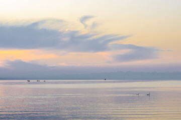 Beautiful sunrise view on lake constance with fisher boats, catamaran ferry and swans shot from...