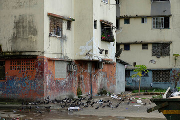 Fototapeta na wymiar Neglected corner street full of pigeons in deprived district of Panama City