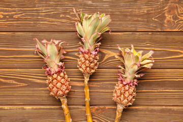 Decorative pineapples on wooden background