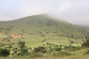 The sun sets on the Serengeti, casting a golden glow on the plains.
