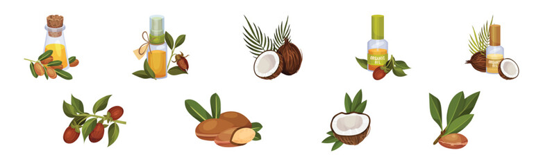 Coconut and Jojoba Organic Oil Extract in Jar with Green Branches Vector Set