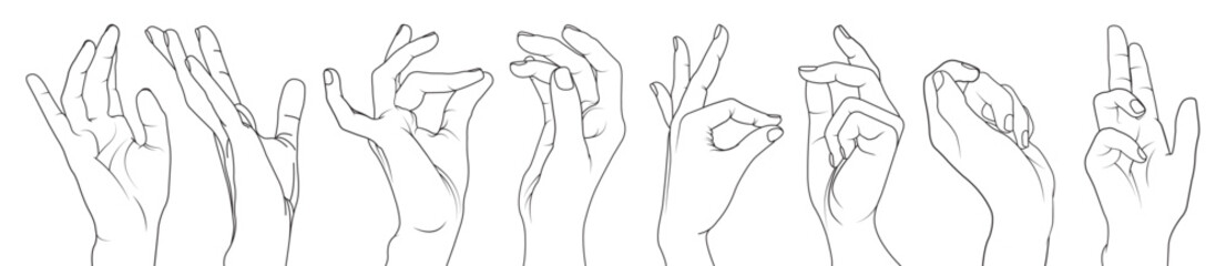 A Collection of Female Hand Poses in Various Styles line art vector illustration