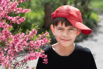 A young boy is walking alone in street in the spring, admiring the flowers and the beautiful spring...