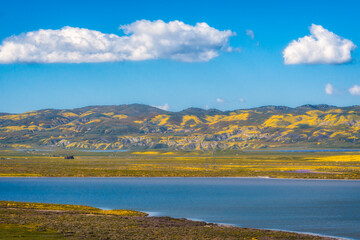 Soda Lake full of water, and wildflowers bloom at Carrizo Plain Ntional Monument, California