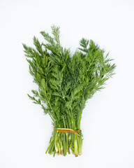 Dill on white background
