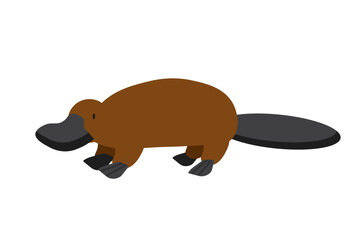 Rare animals collection. Platypus, Ornithorhynchus anatinus. Endemic Australian Duck-billed platypus. Flat style vector illustration isolated on white background EPS