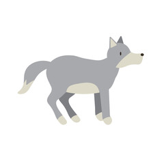 Wolf flat vector illustration. Scandinavian style wild animal isolated on white background. Grey canine mammal, wildlife predator minimalist drawing. Dangerous carnivore dwelling in forests. EPS
