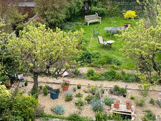 Landscape view of beautiful rural organic natural garden with green wild grass lawn espalier pear tree, exotic and country plants and Summer flowers in bloom and brick gravel paths, sheds, furniture