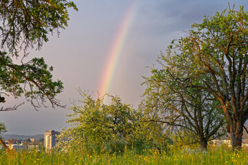 Beautiful double rainbow with trees and meadow in the foreground and skyline in the background at City of Zürich on a cloudy and rainy spring evening. Photo taken May 2nd, 2023, Zurich, Switzerland.