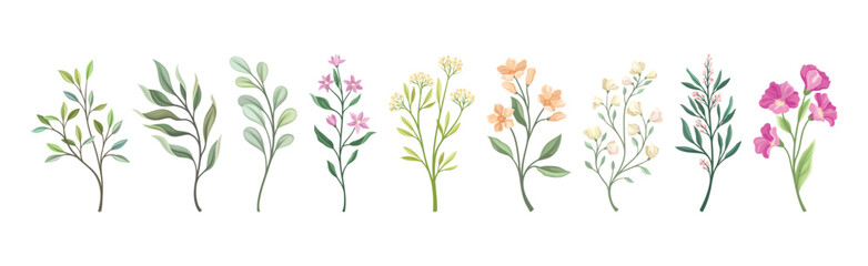 Floral Branches and Twigs with Leafy Stalk or Stem Vector Set