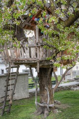 Treehouse in Ossana, Sole Valley, Trentino-Alto Adige, Italy