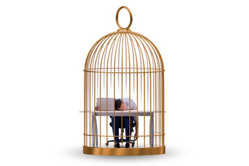 Businessman caught in the cage