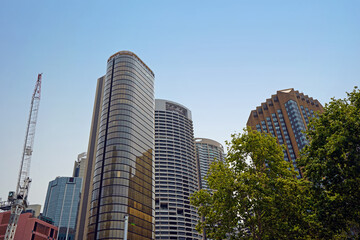 Fototapeta na wymiar Skyscrapers in the centre of Sydney.