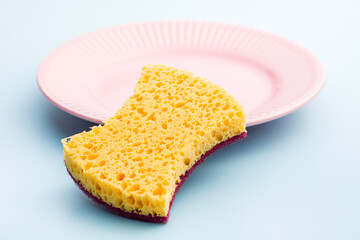 Sponge for washing dishes on plate.