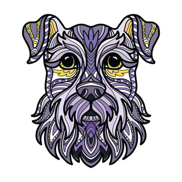 Schnauzer head dog color tangle doodle vector illustration